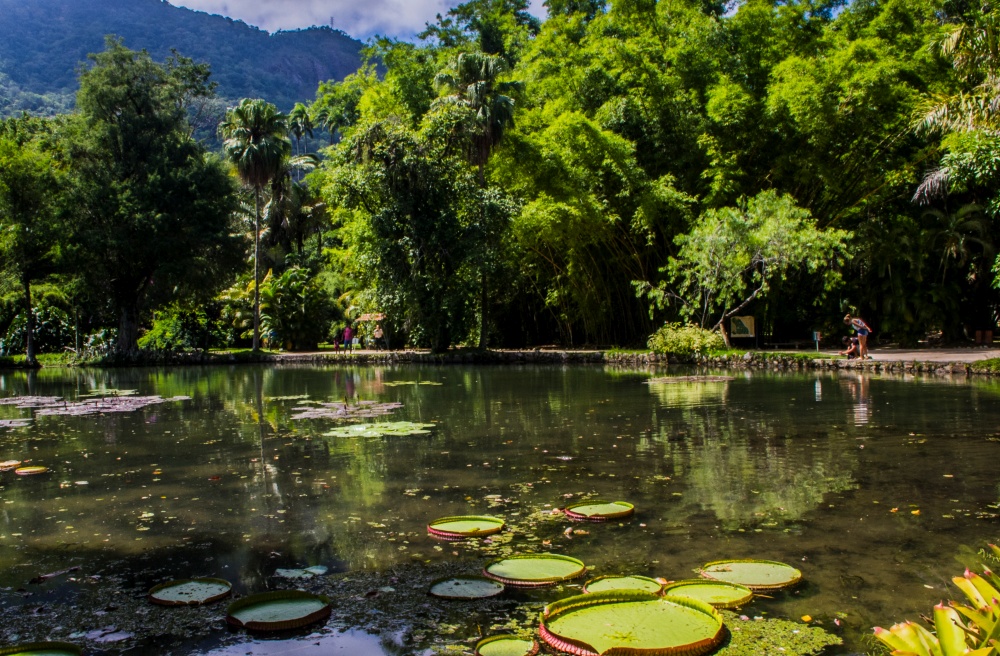 Parque Tijuca