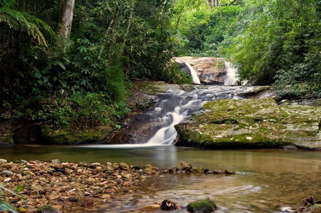 Parque Tijuca