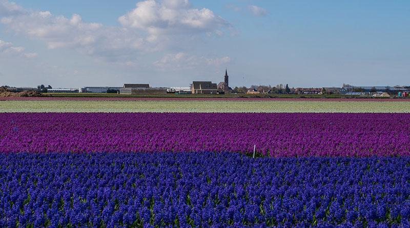 Fotos de primavera