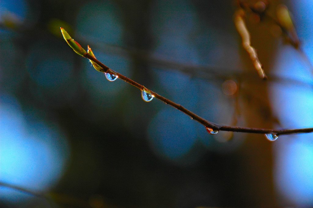 Fotos de primavera