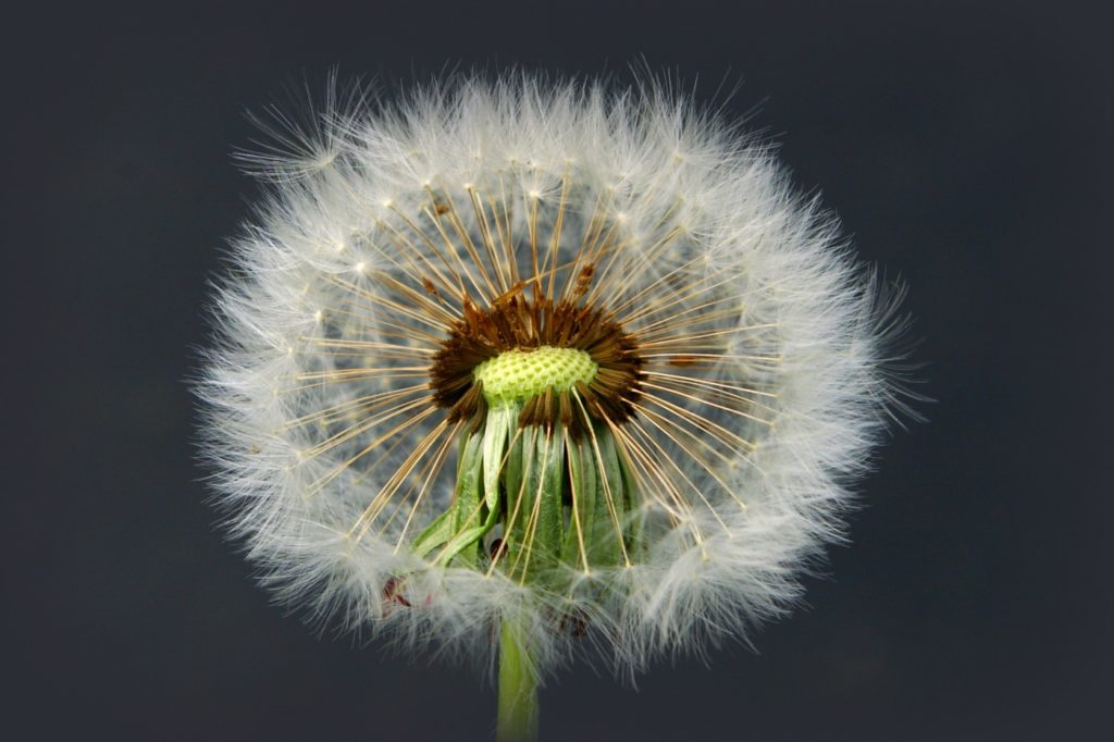 Fotos de primavera